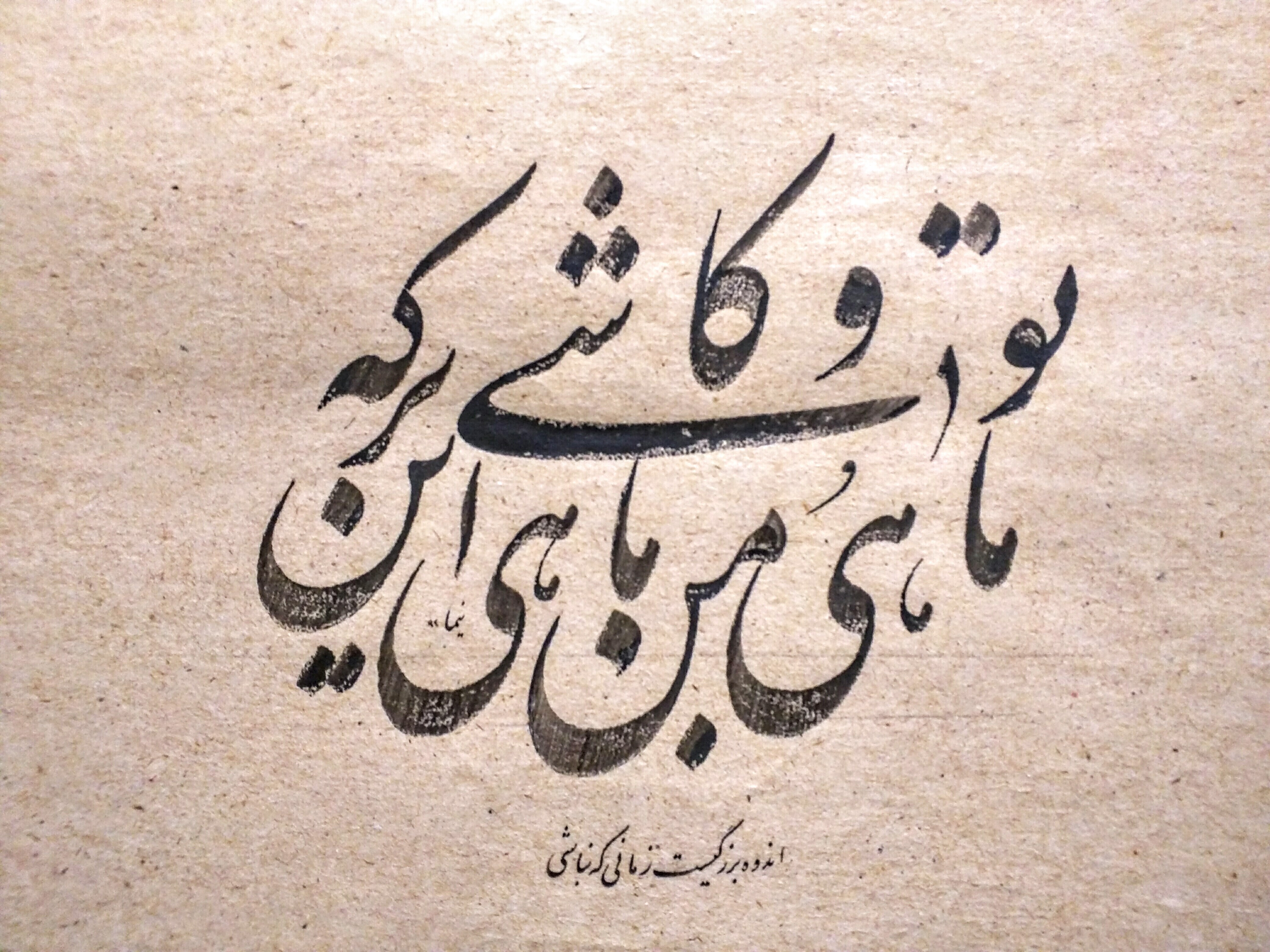 Portfolio Image 14